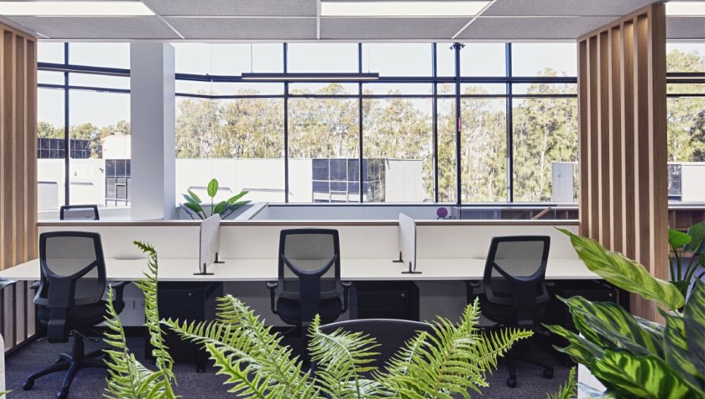 evergreen walls office planter (1)