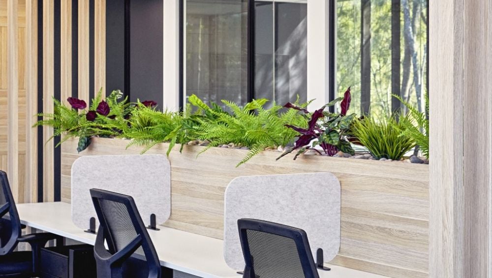 evergreen walls office planter
