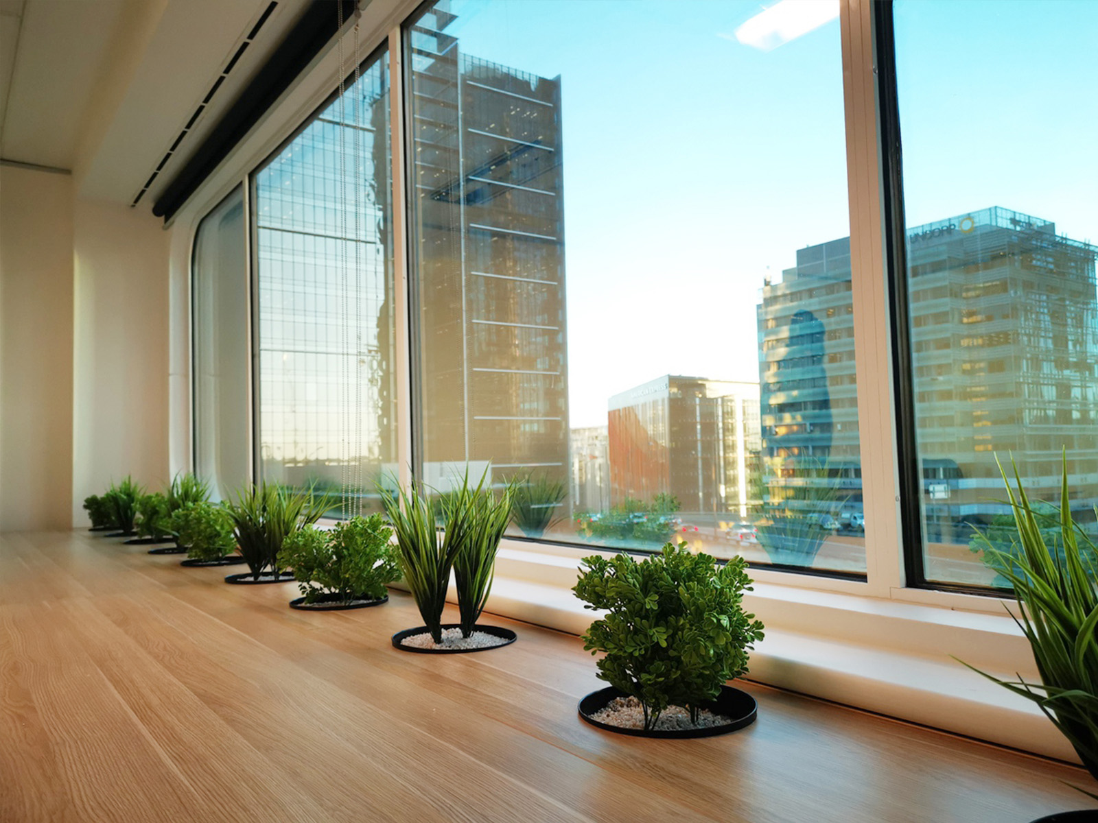 Evergreen Office Fit out Greenery Window