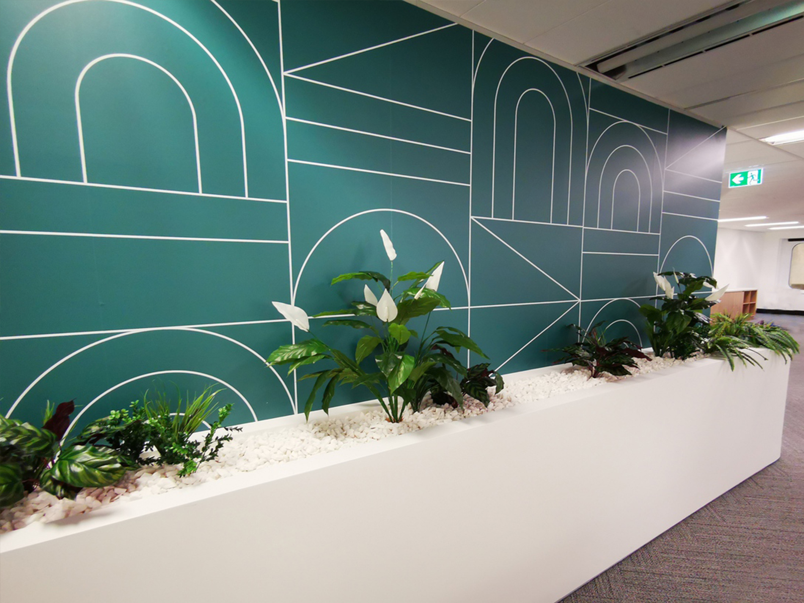 Evergreen Walls Office Fit out Greenery Planter