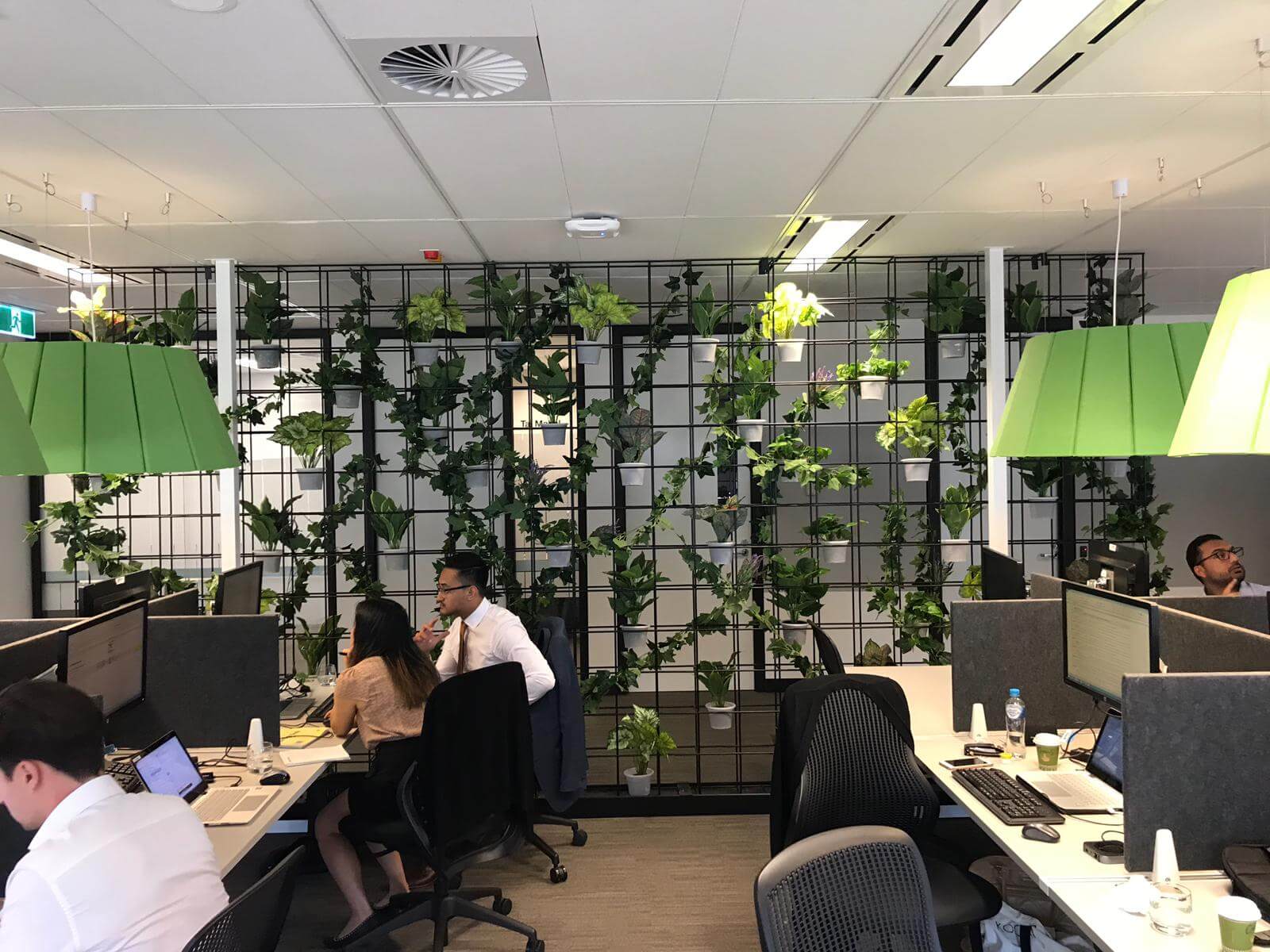 Head office greenery fit-out sydney
