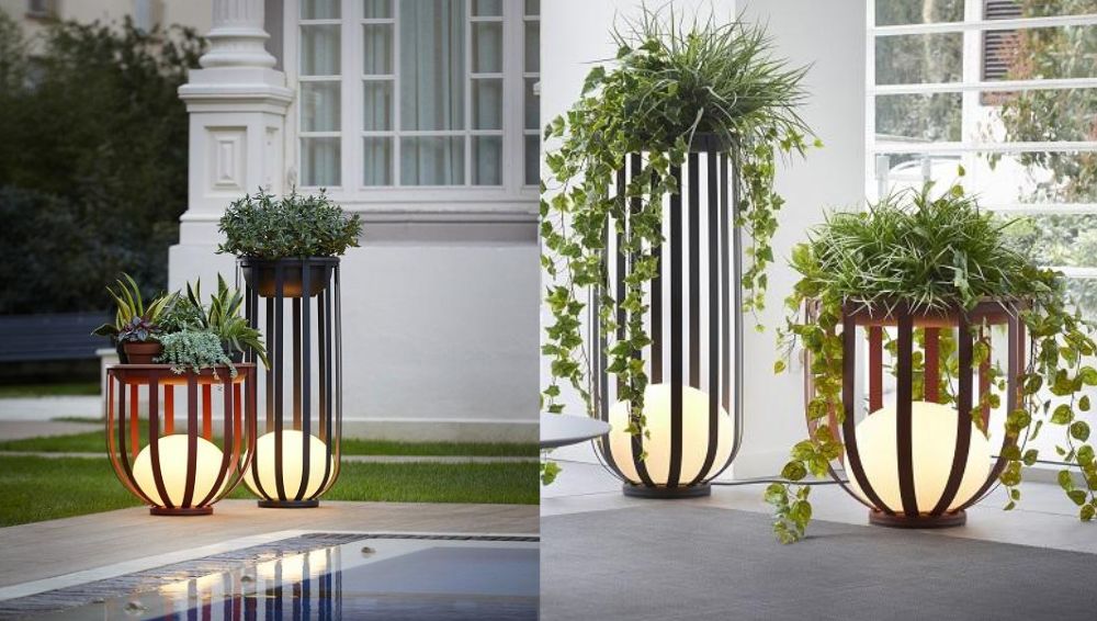 evergreen minimalist outdoor living lighting with plants